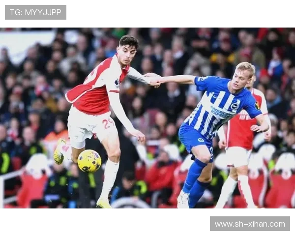 里尔俱乐部宣布引援计划并展示新赛季目标 提升阵容实力争夺欧洲赛场资格